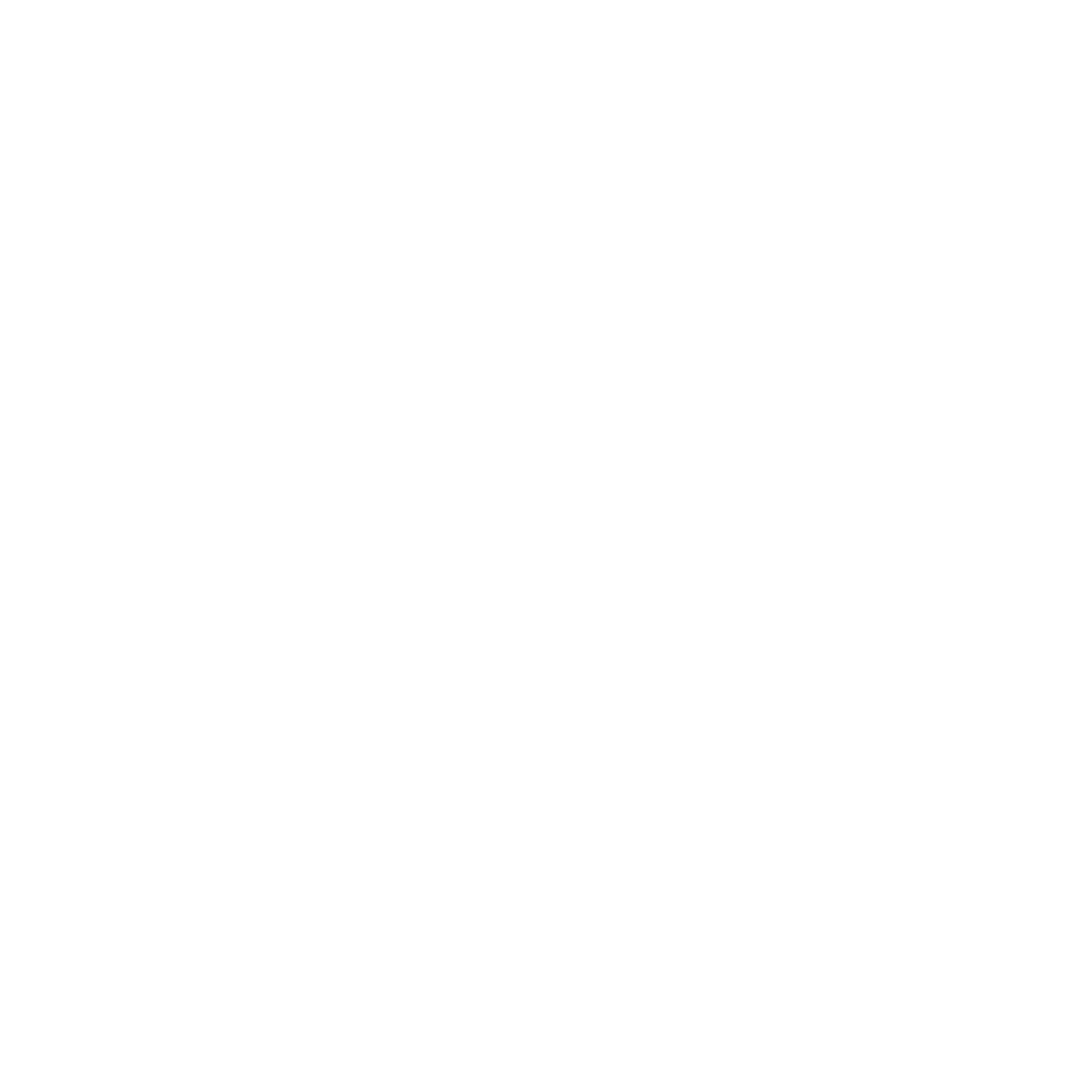 electrical icon